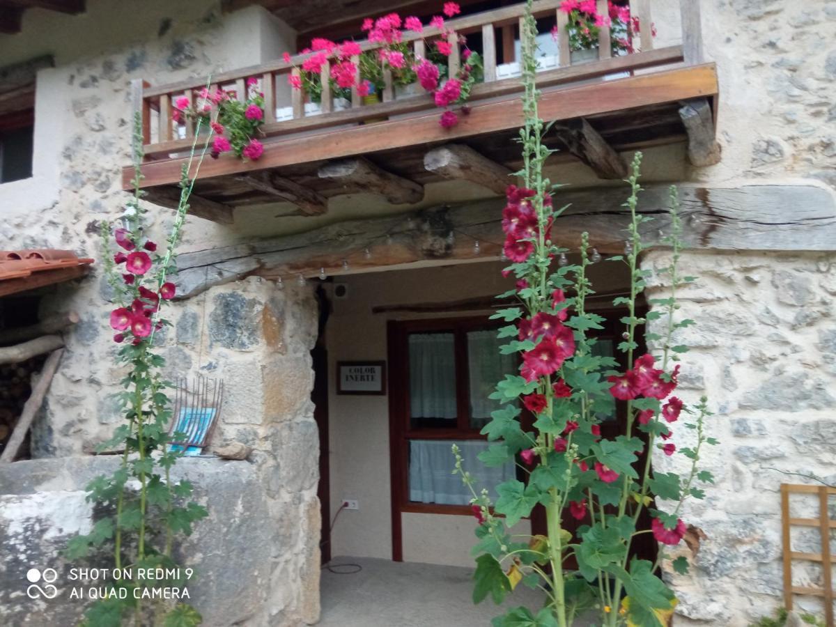 Belaustegi Turismo Rural Ispaster Ngoại thất bức ảnh